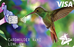 Space Age on demand card Colorful Humming Bird example