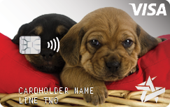 Space Age on demand card Puppies in a basket on a red pillow example