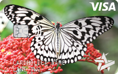 Space Age on demand card Black and White Butterfly on a Red Flower example